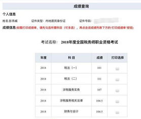 税务师备考攻略 系统学习与坚持刷课，迈向胜利之路